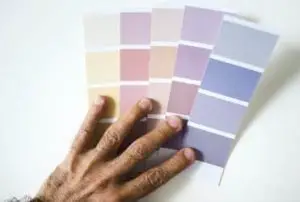 man choosing wall color by choosing from color swatch 53876 63285